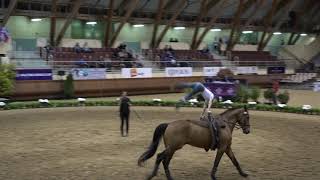 Sam Dos Santos Compulsory