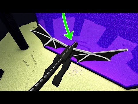 What If the ENDER DRAGON Goes to the NETHER?