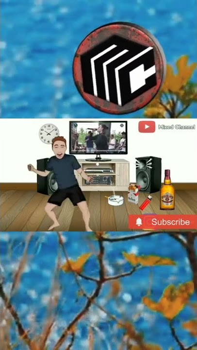 STORY WA animasi joget|MIXED CHANNEL