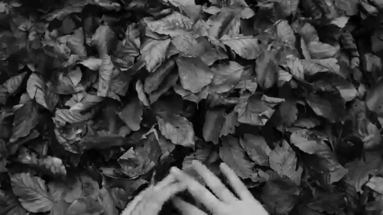 YouTubeでSolitude (Offical Video) - Anja Chiaraを視聴 YouTubeでSolitude (Offical Video) - Anja Chiaraを視聴