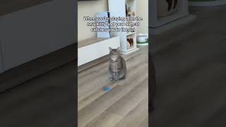 OOP-