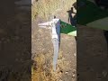 Pull Weeds Fast with Grootpow WP5 Heavy Duty Weed Puller Tool