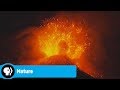 Volcanoes: Eruptions and Exploration