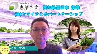 おいしい野菜研究室 mqdefault.jpg