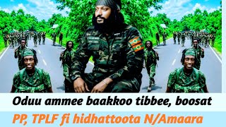  oduu ammee giddu gala irraa, pp,TPLF fi hidhattoota naannoo Amaaraa,   July 21, 2026