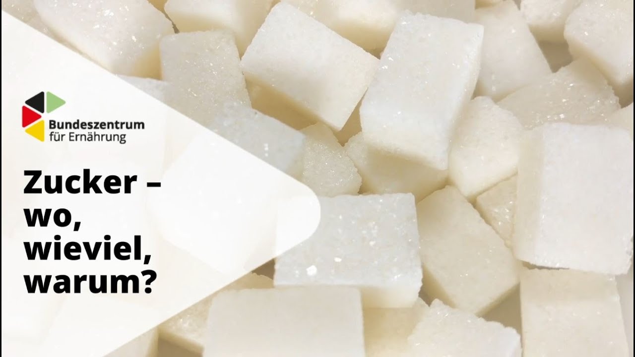 Zucker – wo, wie viel, warum?