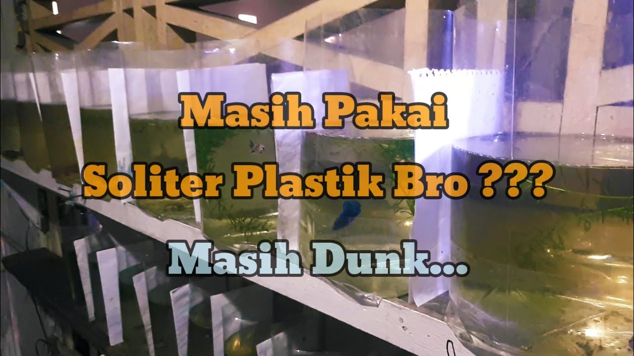 Masih Pakai Soliter Plastik? Masih Dong...