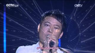 الفنون الصينية 2016-01-29