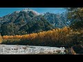 上高地の雪と紅葉 : Snow and Autumn Leaves In Kamikochi（Nagano, Japan）