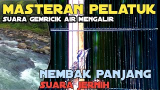 Masteran Pelatuk Sampit Gacor Nembak Panjang Dengan Gemricik Air Mengalir Audio Jernih