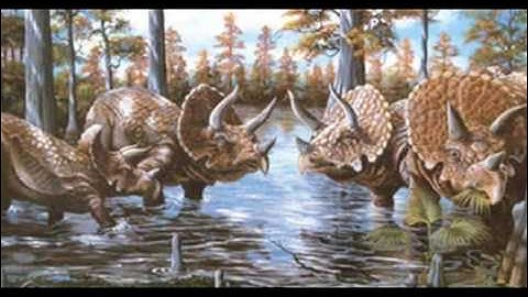 Tribute to Ceratopsids
