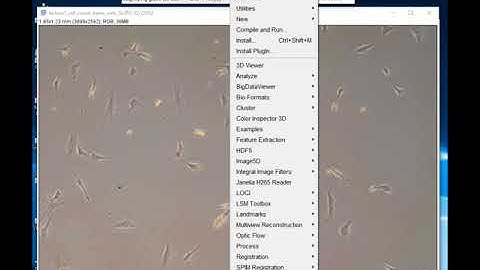 Cell counting using ImageJ