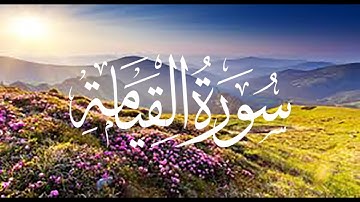 سورة القيامة - كاملة | القارئ محمد حميدو شوشة | تلاوة خاشعة