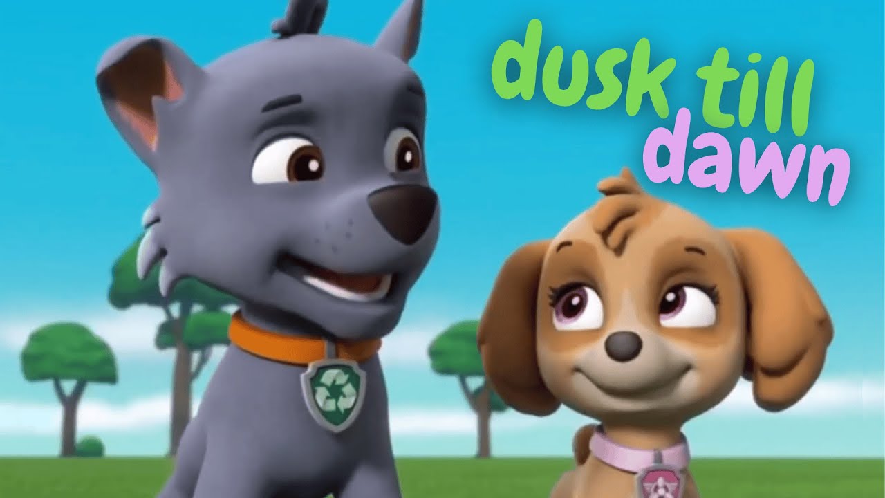 Dusk Till Dawn - Paw Patrol Socky (Rocky x Skye)