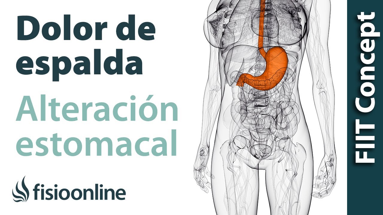 Estómago y dolor de espalda - ¿Qué relación tienen? 