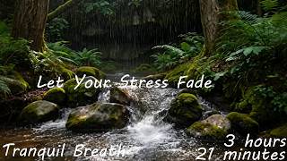 Tranquil Breath - 3 hours 31 minutes to help you relax, deep meditation, let your stress fade