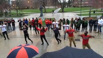 Lambda Alpha Upsilon Stomp The Quad 2015