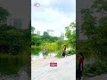 Japanese Garden Singapore 🇸🇬 #foryou #travel #viralyoutubeshorts #singaporearchitecture