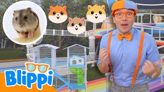 Blippi's Big Hamster Challenge! 🐹| Blippi Learns | Learn Animals with Blippi!