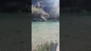 El pantano más grande del mundo