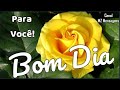 Bom Dia / Feliz Segunda / Comece o dia com energia positiva