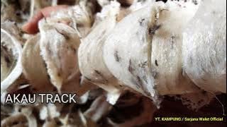 SP & SI AKAU TRACK !! AKAU TERBAIK DARI SUARA AKAU YANG LAIN !!