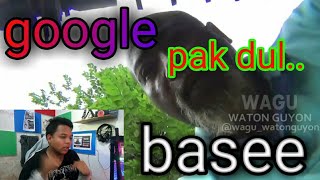 #gokilwaguwatonguyon #database #google  Reactiond lucu nya pak ndul
