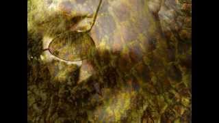 Psychic Protection Defense against Witchcraft, Psychic Attack, Negative Energy - tools by Wolfgang