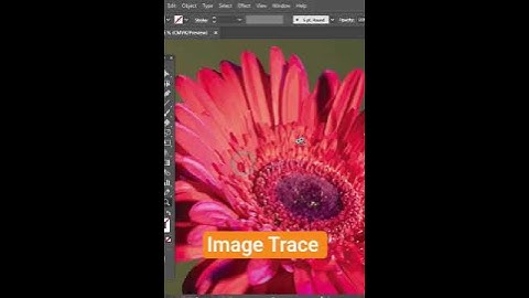 One Click - Image Trace - Short illustrator Tutorial #rajgraphicgyan #illustrator #shorts