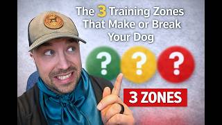 The 3 Training Zones That Make Or Break Your Dog