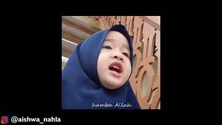 Lau kana bainana habib
