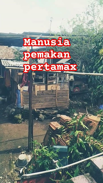 manusia lebih serakah dari binatang ketika di kendalikan napsu#manusiaserigala