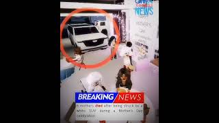 Brookhaven News Antropologia Sintética 4Normal