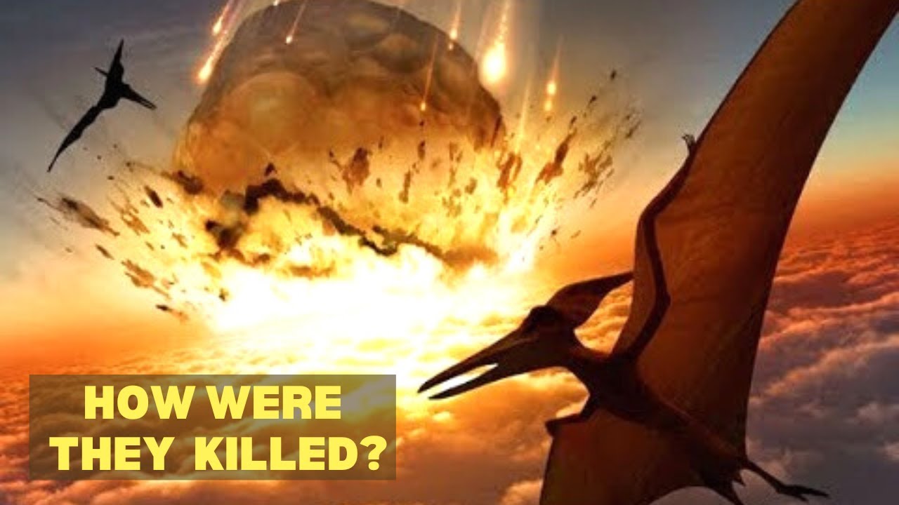 How did the Dinosaurs Extinct from earth ? dinosaur extinction