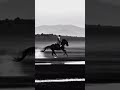 Like A Wild Wind (Fantasy Synth)