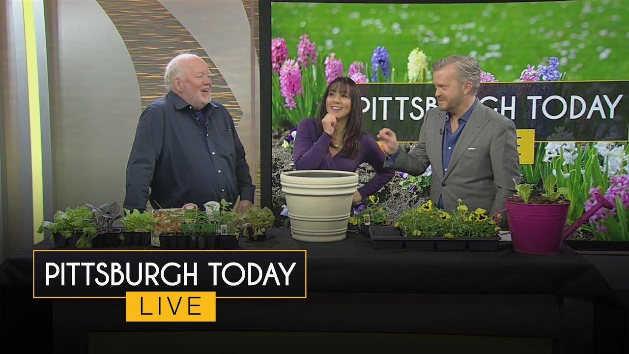 Gardening tips with Doug Oster