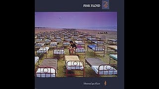 Pink Floyd Members and the Critics - A Momentary Lapse of Reason