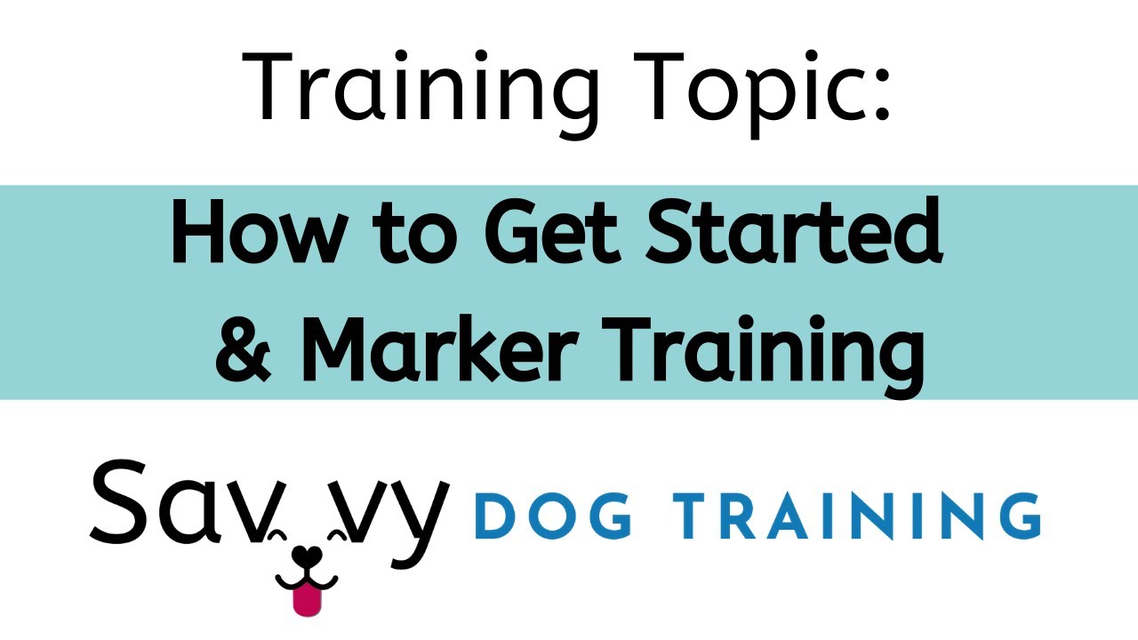 Training Topic How To Get Started & Marker Training YouTube