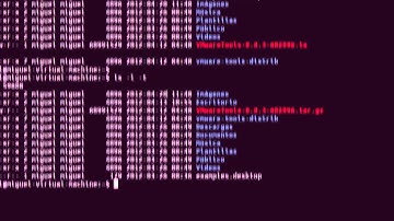 Ubuntu | 8.- La terminal (shell bash) | Primera toma de contacto