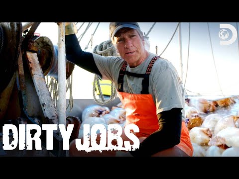 Mike Rowe Is Up to His Knees in Jellyfish Dirty Jobs