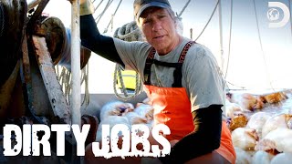 Mike Rowe Is Up to His Knees in Jellyfish | Dirty Jobs