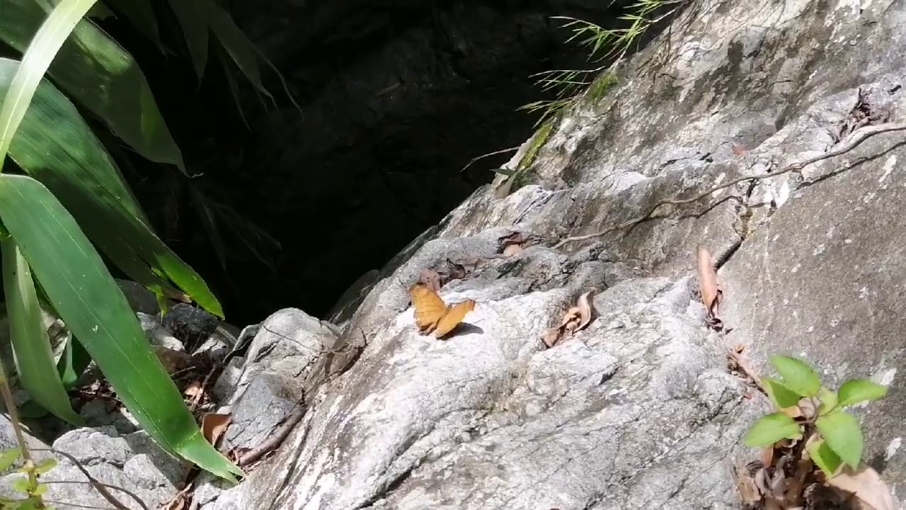 Binanga Falls @ Shilan, La Trinidad, Benguet