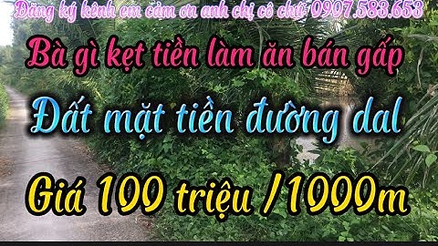 Bà gì kẹt vốn làm ăn bán 8 công đất mặt tiền đường dal giá ngộp 100 triệu/1000m2 Gò Quao kiên Giang