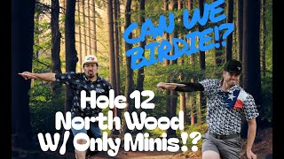 Mini Discs vs Hardest Hole in the World w/ Fredy Meza (Hole 12 North Wood)