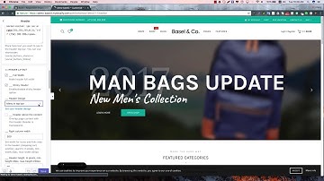 Basel Shopify - Header basic config