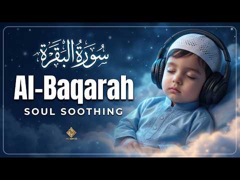Sura Baqarah Full | Morning Recitation | Daily Quran Tv.