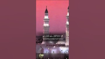 #القرآن_الكريم #اكسبلور #المصحف #quran #لايك #ماهر_المعيقلي #تلاوة_خاشعة #ترتيل #خشوع_القرآن