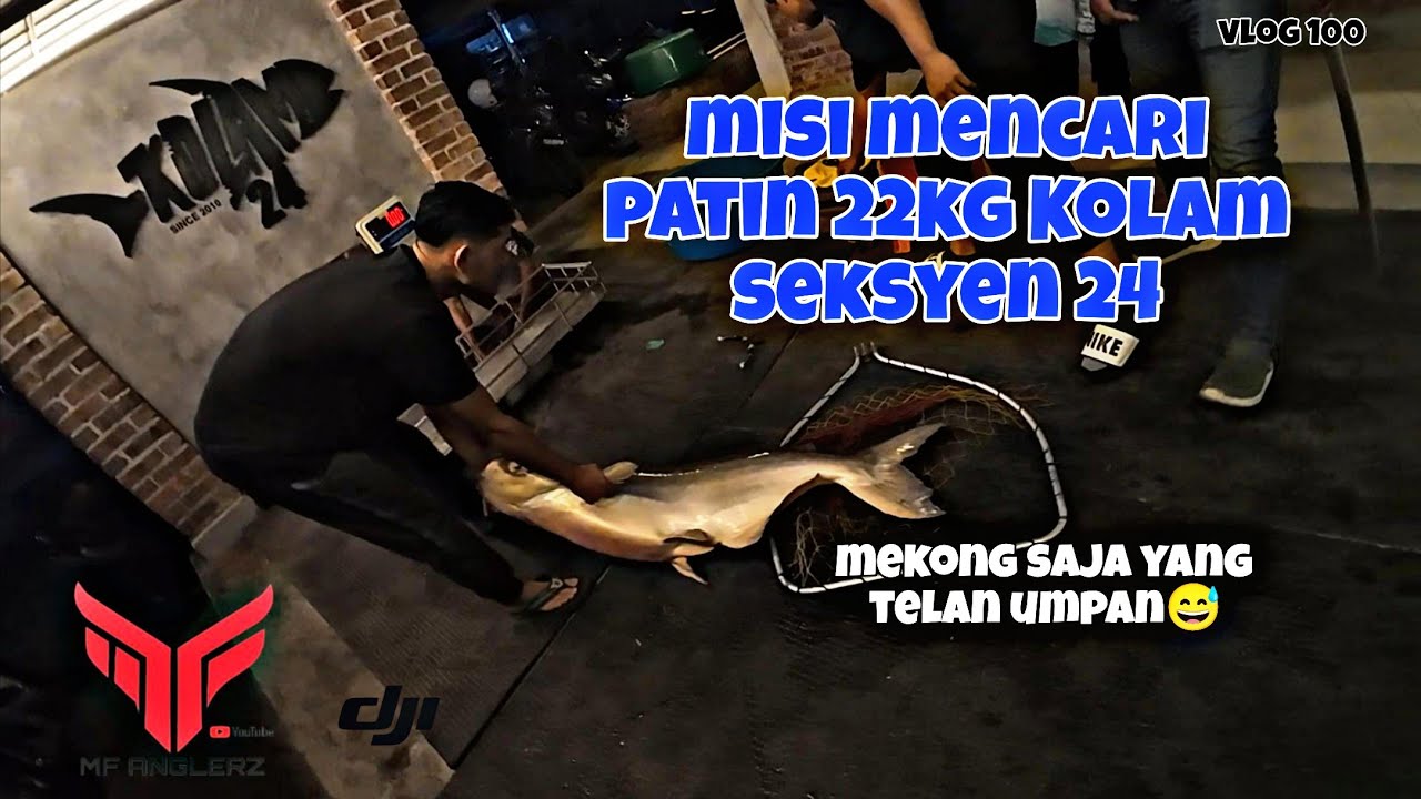 KOMPLOT KOLAM SEKSYEN 24 2025 | PATIN MEKONG SAJA YANG MAKAN | PALLET E8 #VLOG100