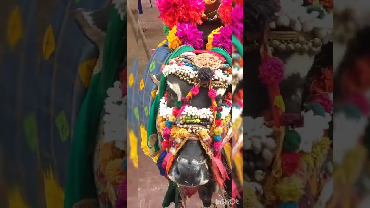 ‪@baluthefighter‬