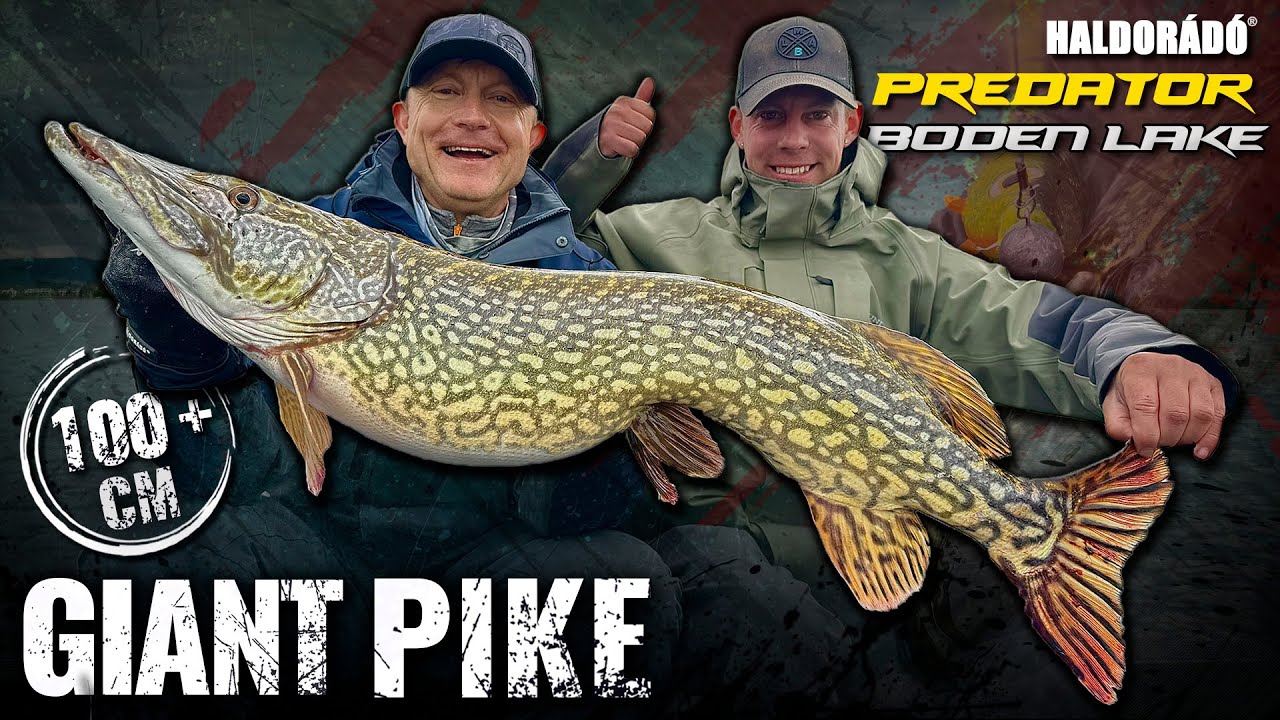 Döme Gábor - Az óriás csukák tava